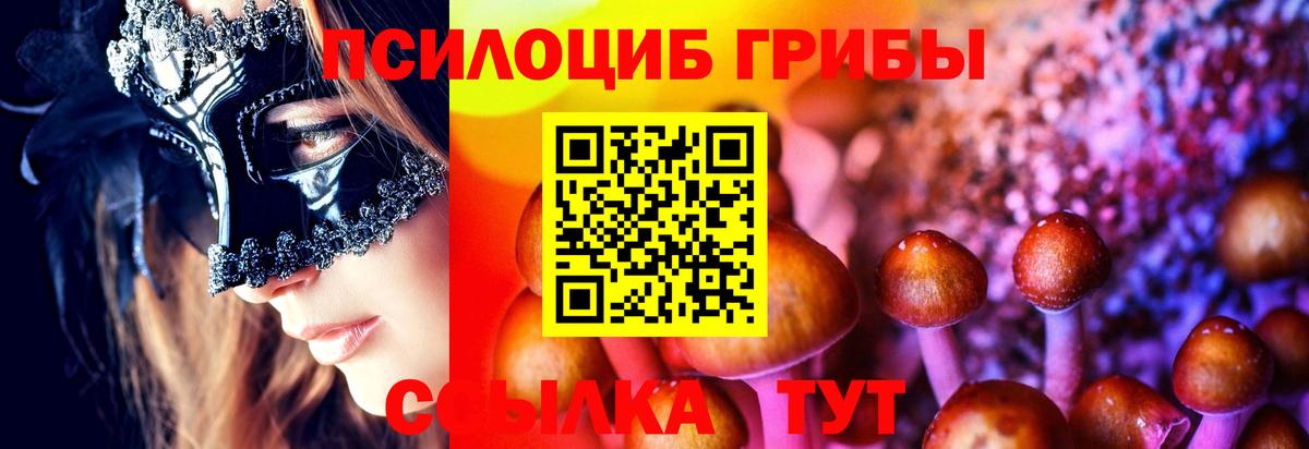 Галлюциногенные грибы прущие грибы  Вход с VPN  Богородицк 
